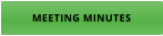 MEETING MINUTES